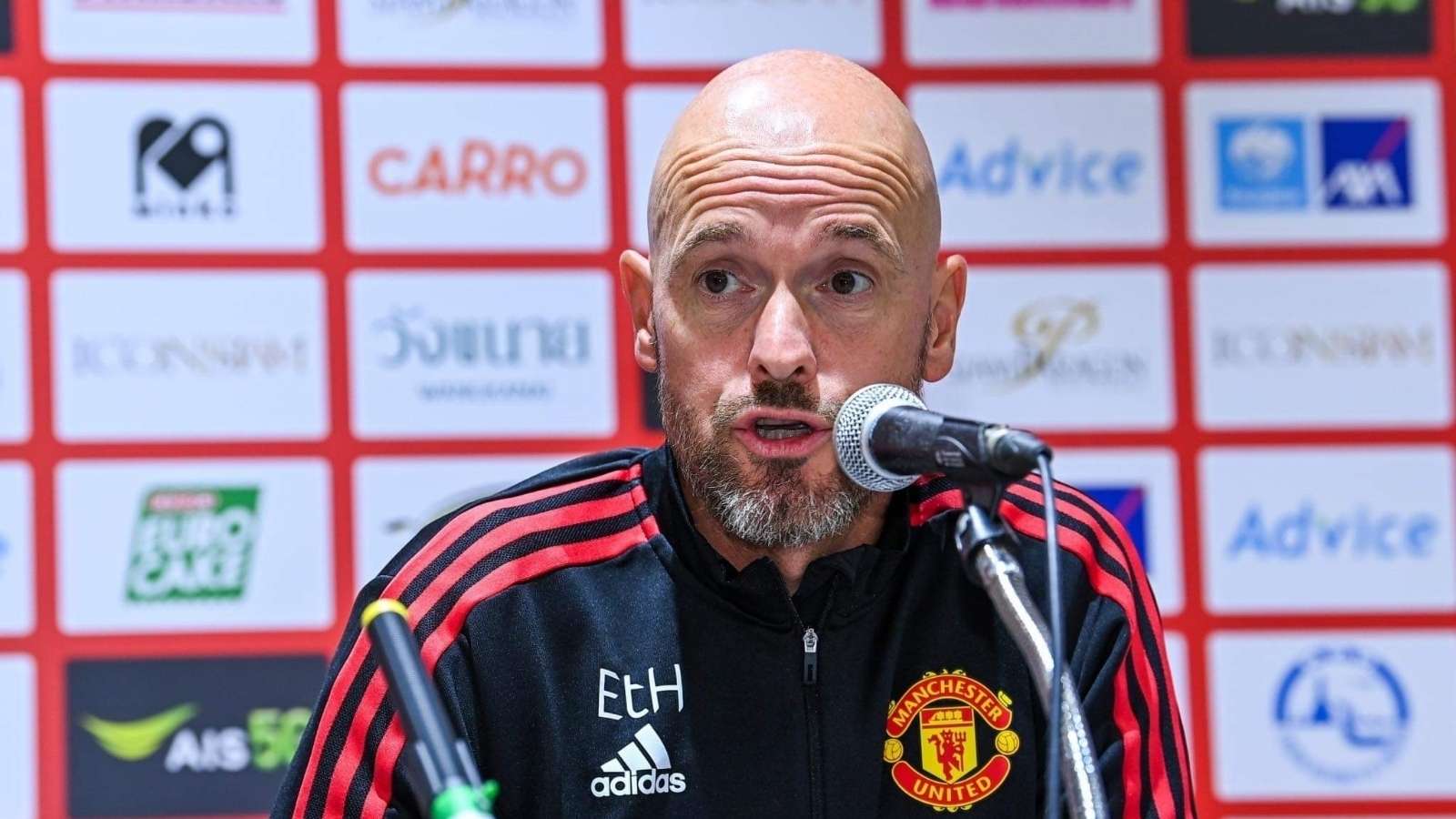 也不例外 也不例外