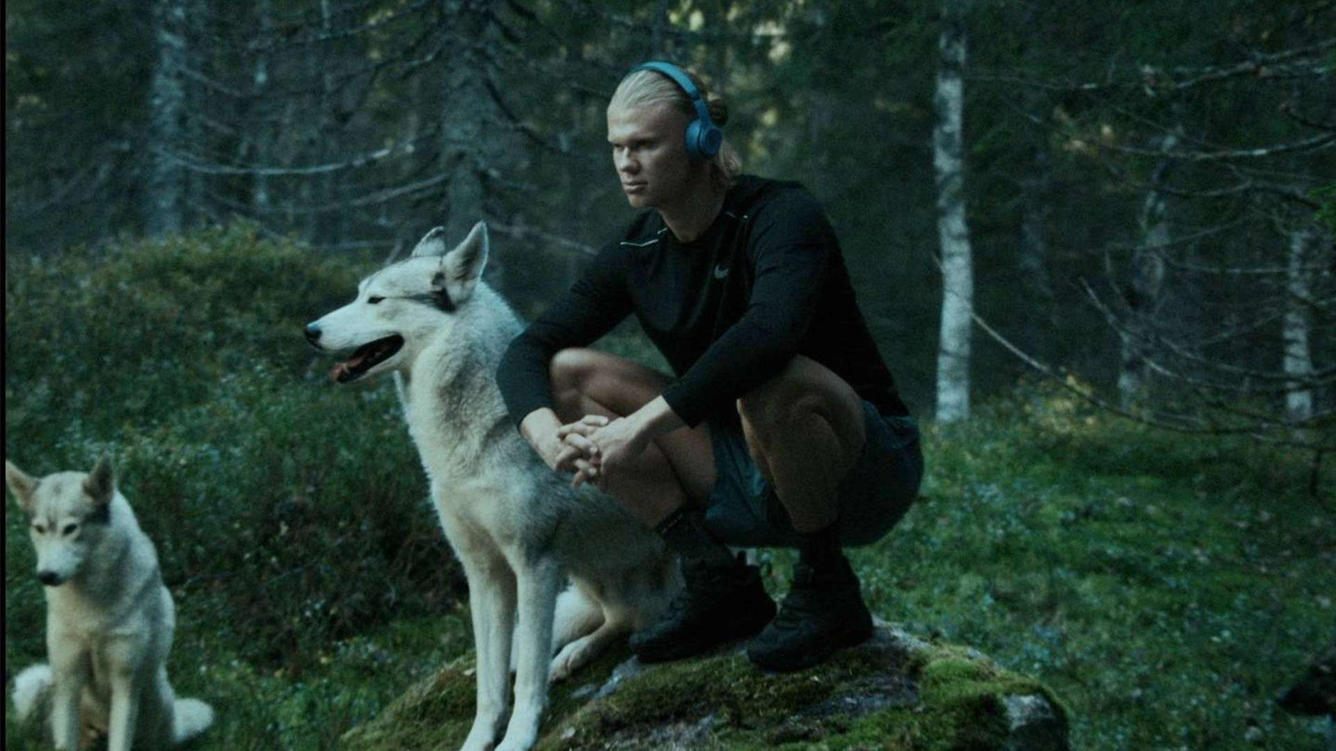 太妃糖连胜 太妃糖连胜